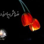 پیام تسلیت درگذشت شادروان بانو مریم شریف پور